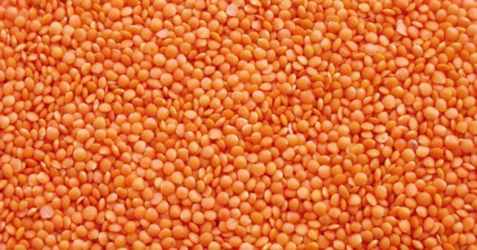 ১০ হাজার টন মসুর ডাল কিনছে সরকার