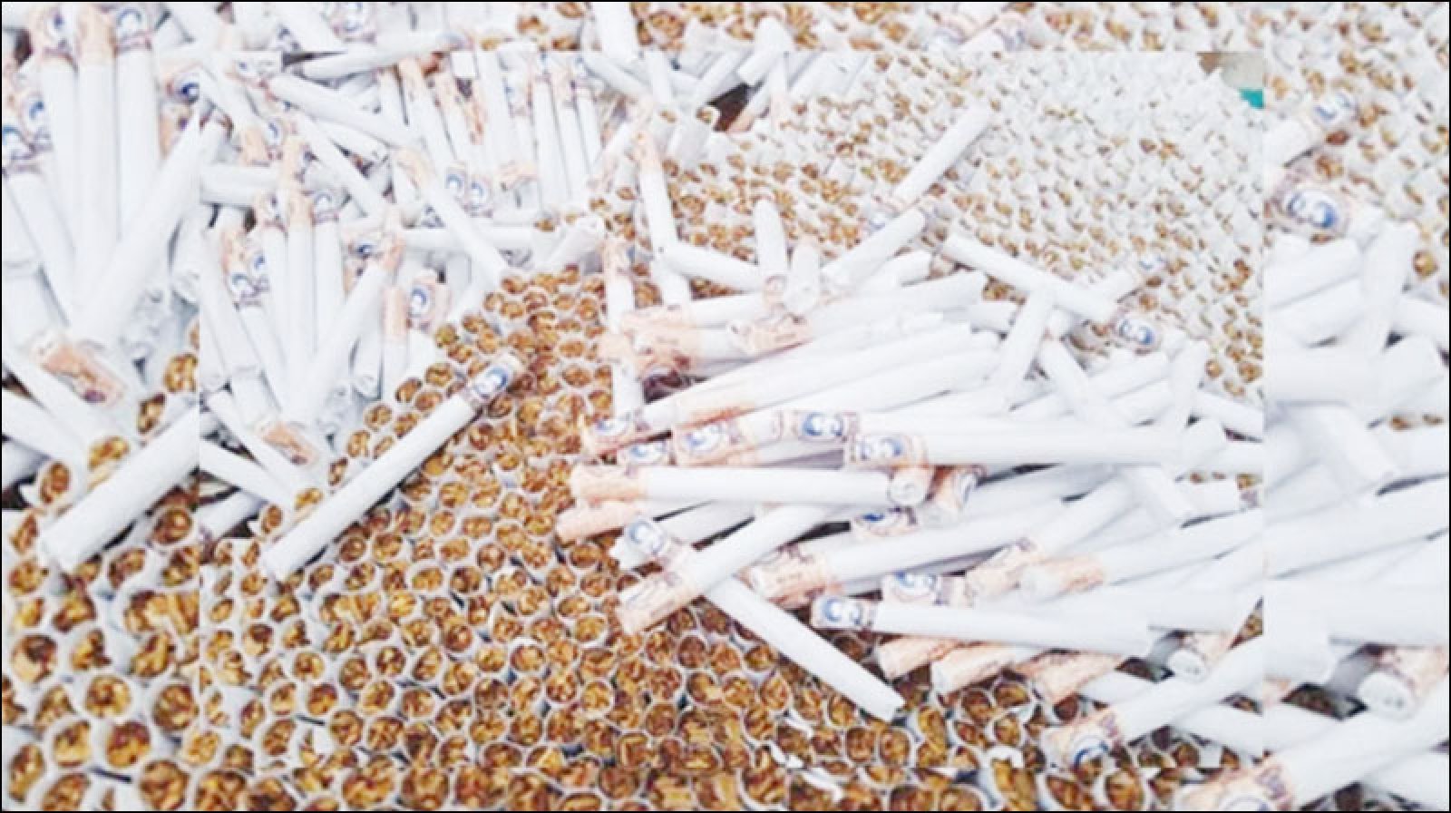 বিড়ির দাম বাড়ছে না