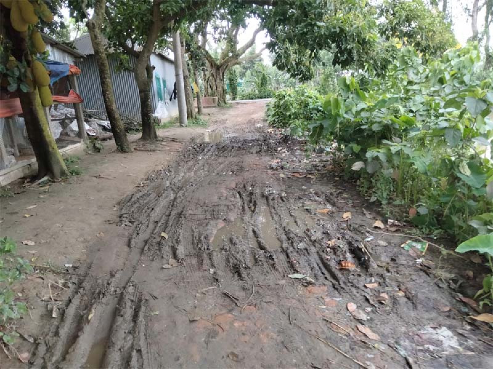 রায়গঞ্জের গ্রামপাঙ্গাসী গ্রামের চলাচলের একমাত্র রাস্তার বেহাল দশা