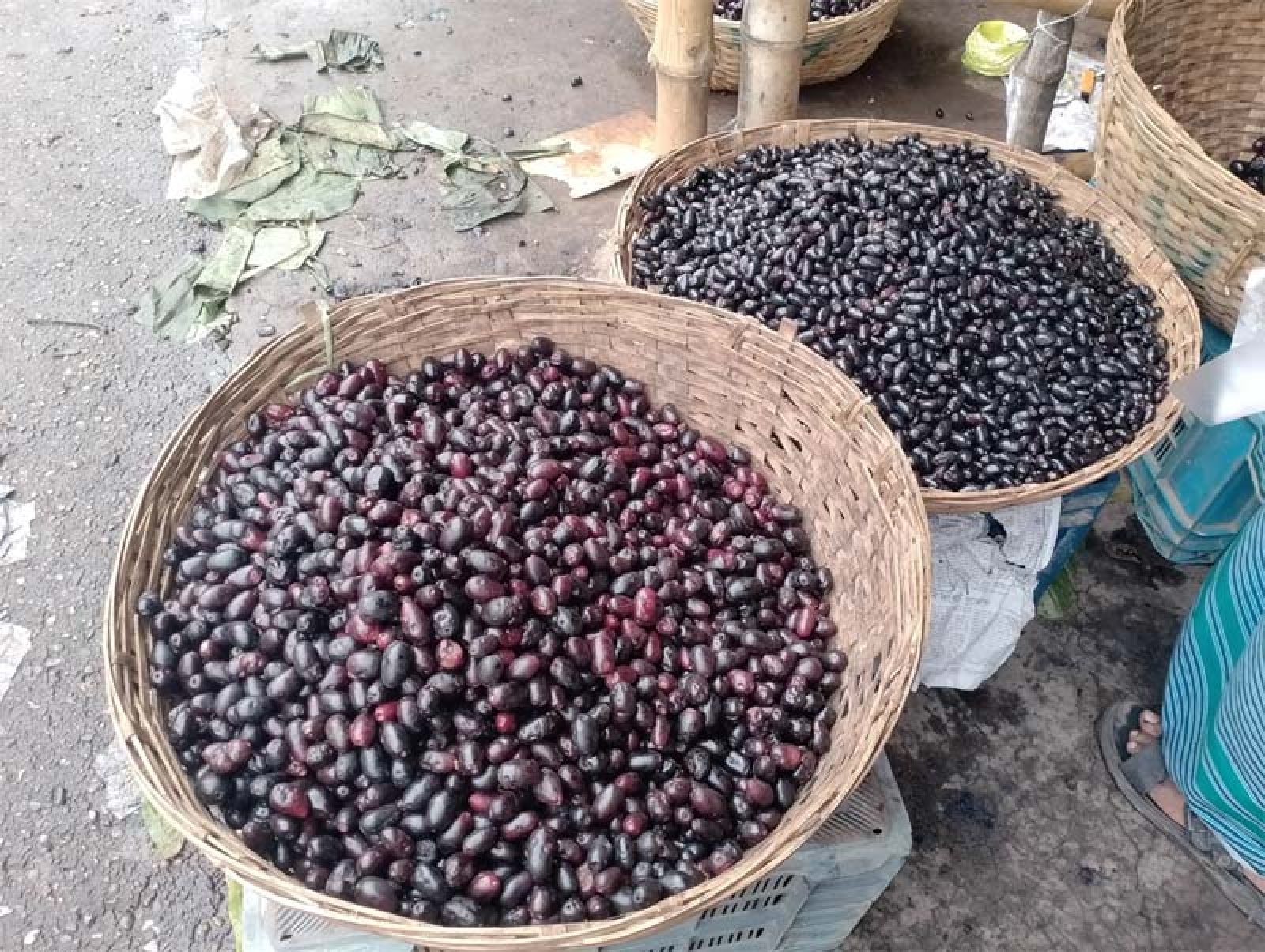 জামের রস যাচ্ছে বিদেশে, বিচিও ফেলনা নয়