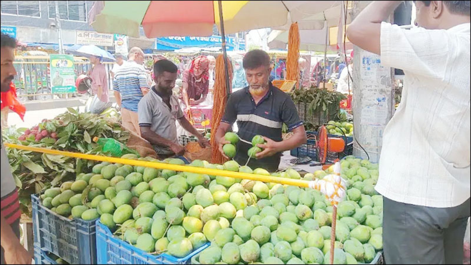 রাজশাহীতে ৪০, ঢাকায় ৯০ টাকা একই আমের দামে এত বড় ব্যবধান কেন ?