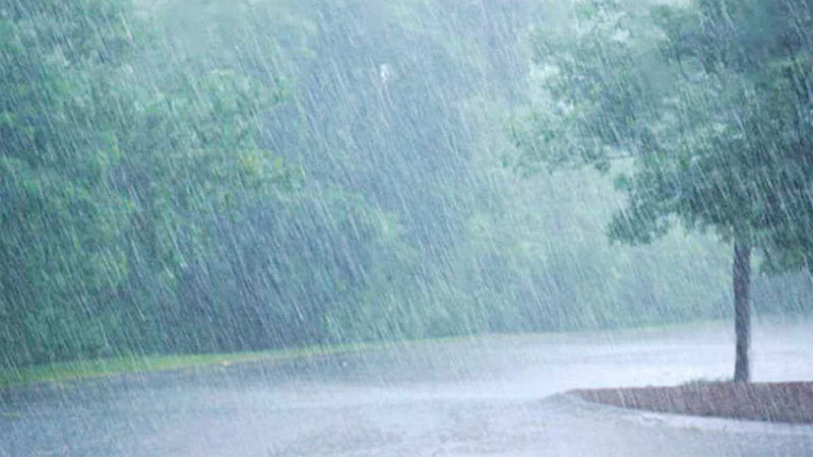 টানা পাঁচদিন ভারী থেকে অতি ভারী বৃষ্টি হতে পারে