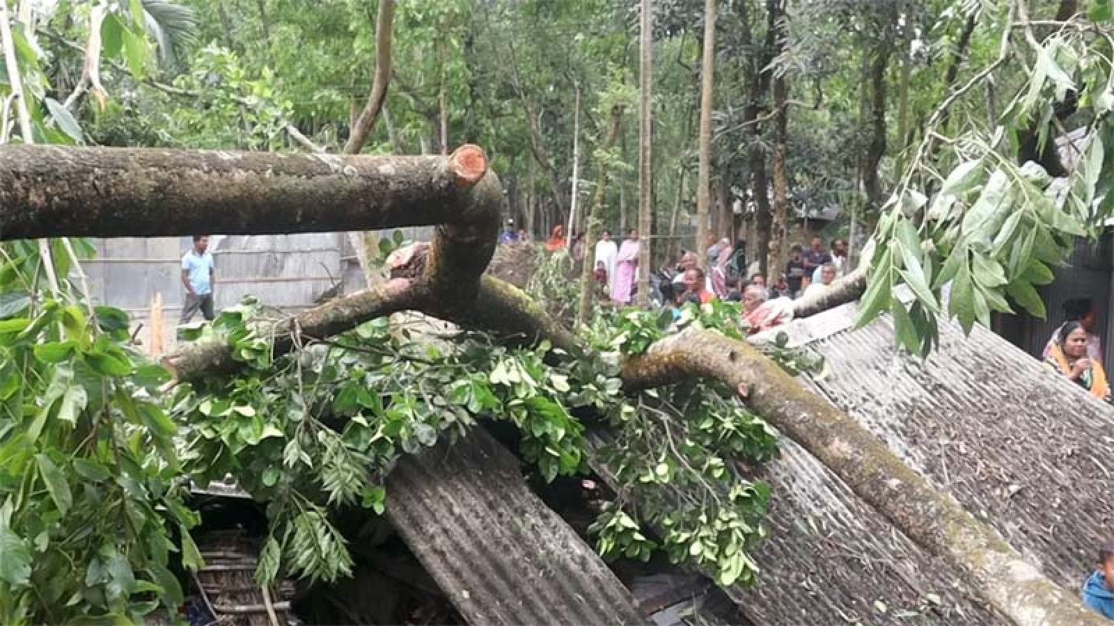 হঠাৎ  ঝড় ও শিলাবৃষ্টিতে লন্ডভন্ড পঞ্চগড়