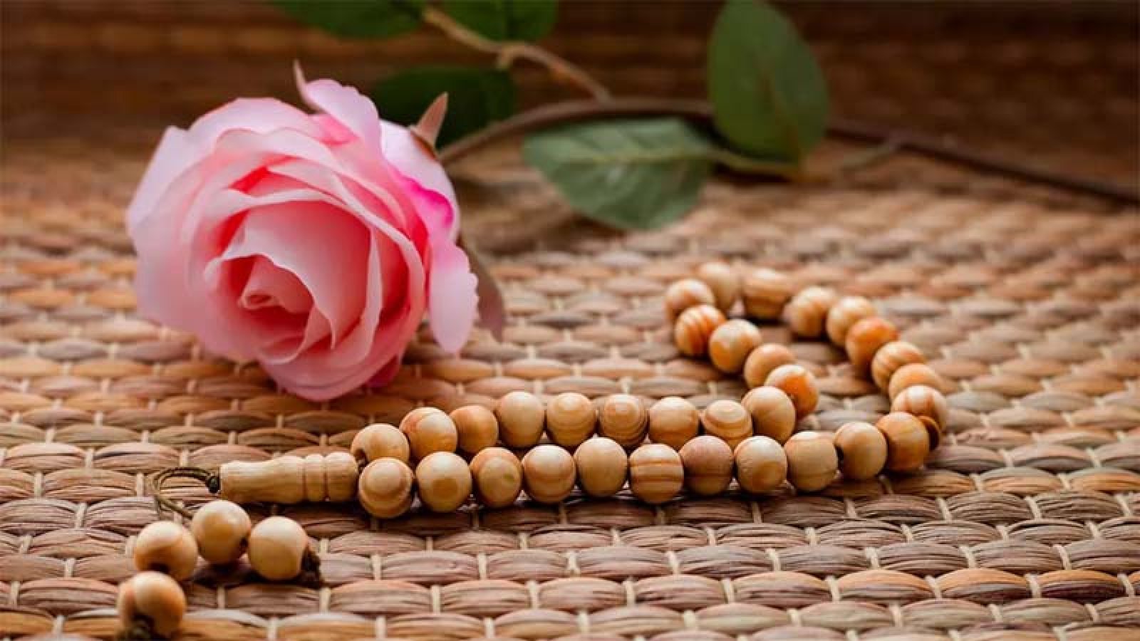 কোরআনে বর্ণিত ৬ নারীর জীবনীতে যে শিক্ষা রয়েছে