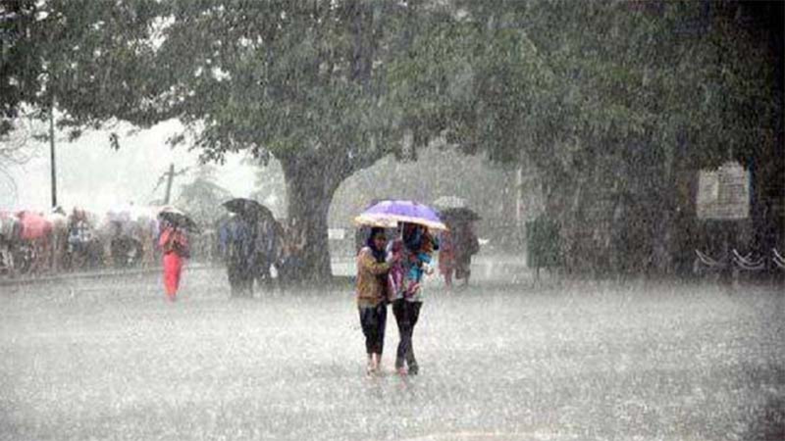 দেশের ​সব বিভাগে বৃষ্টির আভাস
