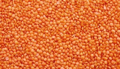 ১০ হাজার টন মসুর ডাল কিনছে সরকার