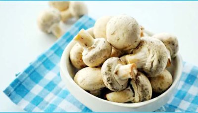 মাশরুম কেন খাবেন