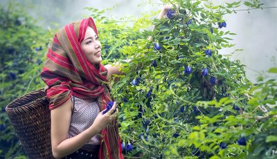 মানসিক চাপ কিভাবে  দূর  করবেন ,জেনে নিন