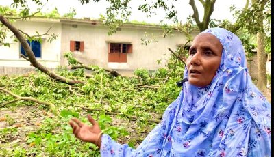 কাটা গাছের গোড়ায় দাঁড়িয়ে আছিয়ার প্রশ্ন, ‘গাছের সঙ্গে শত্রুতা কেন’