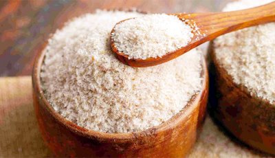 জেনে নিন,ইসবগুল সম্পর্কে যে ধারণাগুলো সঠিক নয়