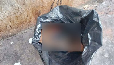 বায়তুল মোকাররমের পাশ থেকে কাটা হাত-পা উদ্ধার