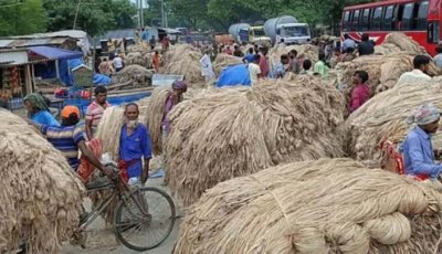 রাজশাহীতে পাটে ৫৪৯ কোটি টাকার বাণিজ্যের হাতছানি