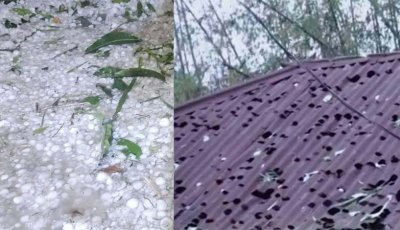 নীলফামারীতে কালবৈশাখী ও শিলাবৃষ্টিতে কৃষি জমির ফসলের ব্যাপক ক্ষতি