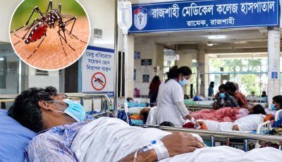 ২৪ ঘণ্টায় ভর্তি ২৯, চিকিৎসাধীন ১০৭, সেপ্টেম্বরে মৃত্যু ৭