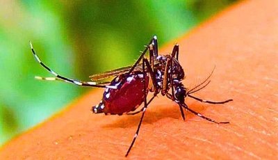 ডেঙ্গু আক্রান্ত হয়ে ছয়জনের মৃত্যু