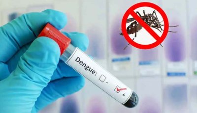ডেঙ্গুতে আক্রান্ত হয়ে আরও দুই জনের মৃত্যু