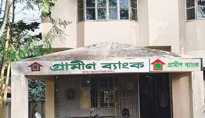 গ্রামীণ ব্যাংকে চাকরি