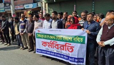 রাজবাড়ীতে ৯ম পে-স্কেলের গেজেট প্রকাশের দাবিতে কর্মবিরতি
