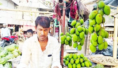 অসময়ে বাজারে কাঁচা আম