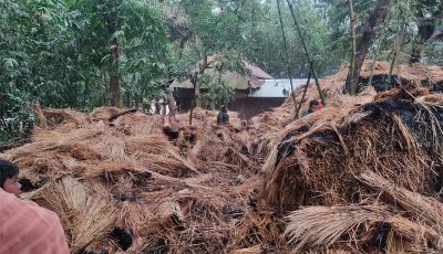 নিয়ামতপুরে দুর্বৃত্তদের 'প্রতিহিংসার' আগুনে পুড়ে ছাই কৃষকের খড়ের গাদা