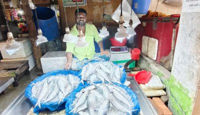 কোল্ড স্টোরের ইলিশেও স্বস্তি নেই, দাম ২ হাজার ৫০০