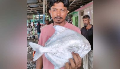 বঙ্গোপসাগরে ধরা পড়ল ১.৭ কেজির রূপচাঁদা