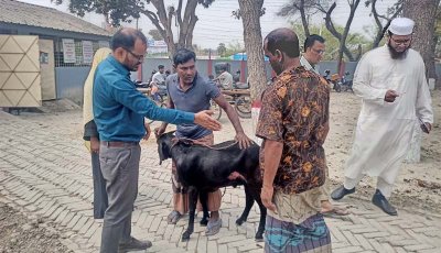প্রাণিসম্পদ হাসপাতাল জরুরি সেবার আওতায় আনার দাবি খামারী ও কৃষকদের